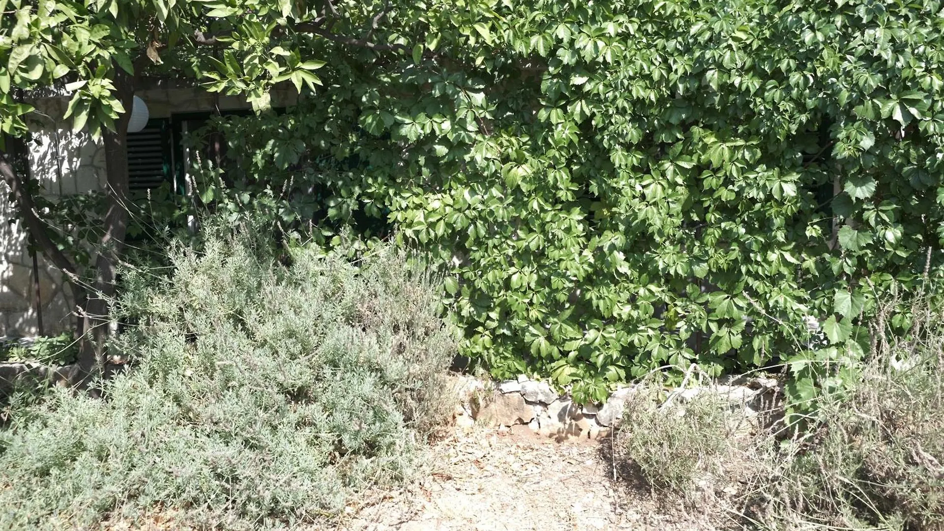 Studio Apartment Mao Trogir
